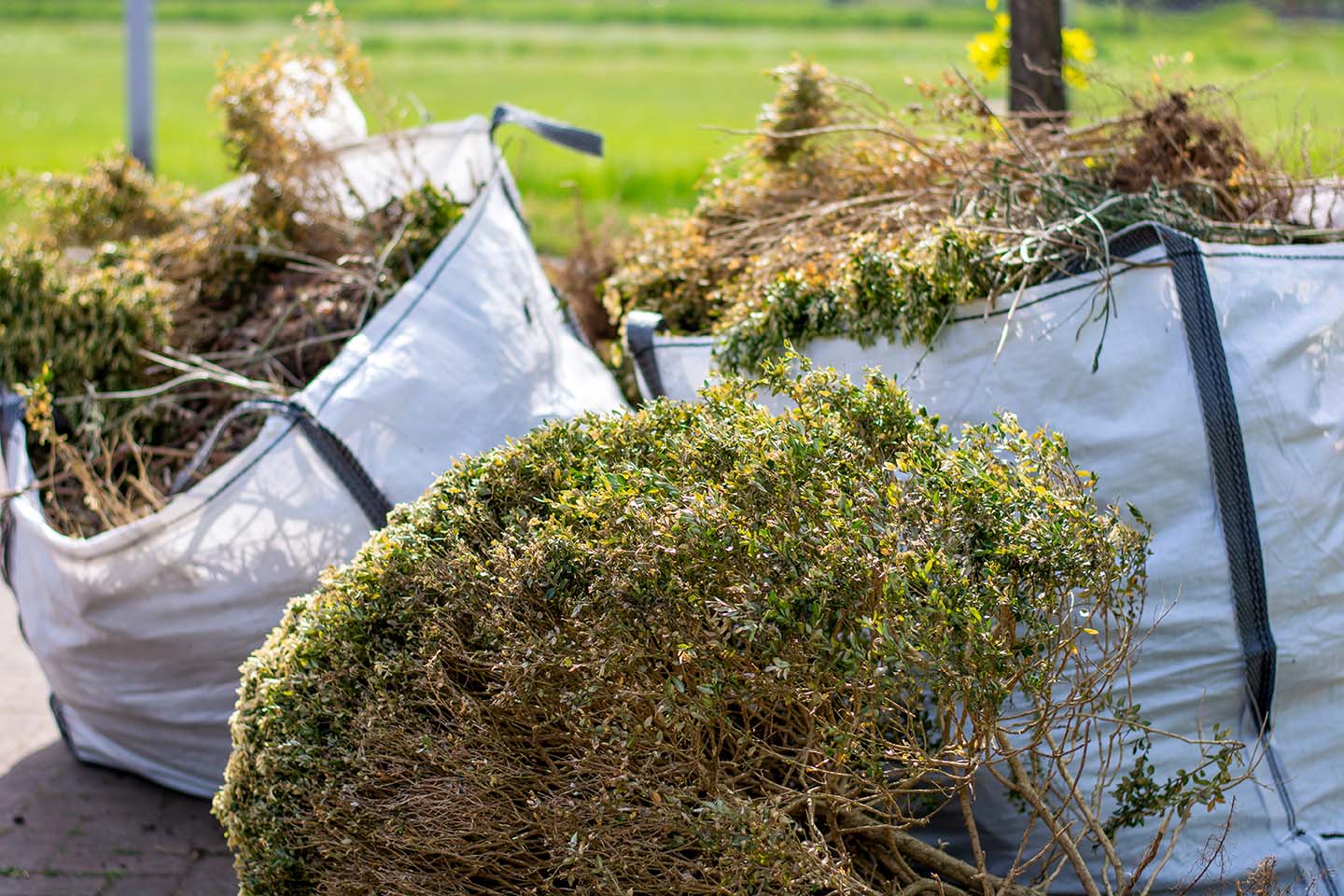 Waste Removal