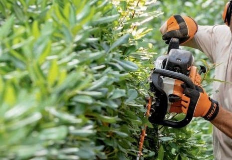 Hedging/Tree Trimming